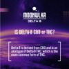 MoonWlkr Pandora - *NOW with BOTH 625mg Delta-8 & 625mg CBD* 1250mg Pineapple Express - Image 5