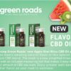 Green Roads - *$40-$65 OFF & Discontinued* Apple Kiwi Bliss CBD BSO 750mg/1500mg - Image 3